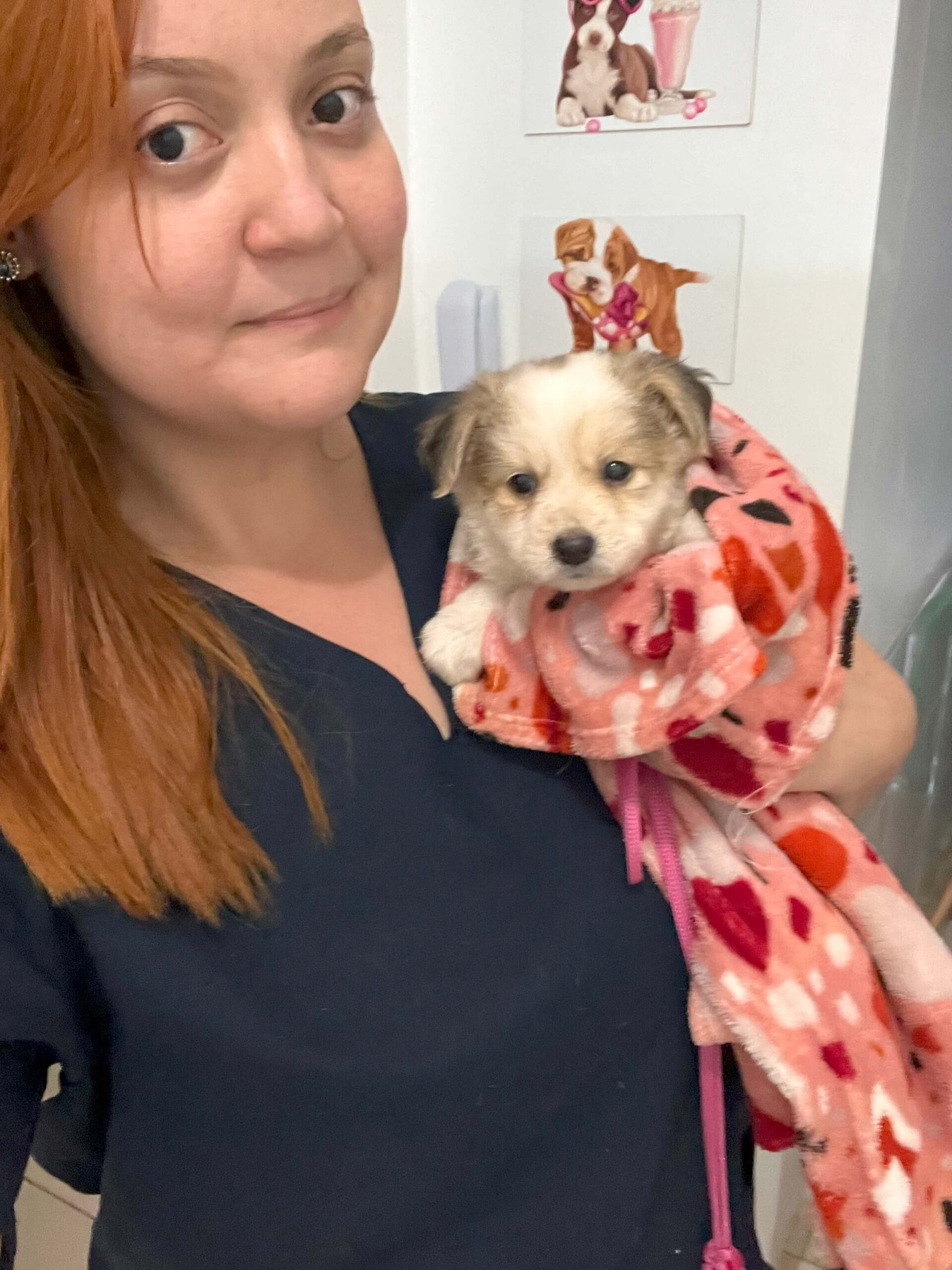 leticia-coltro-medica-veterinaria-domicilio (11)