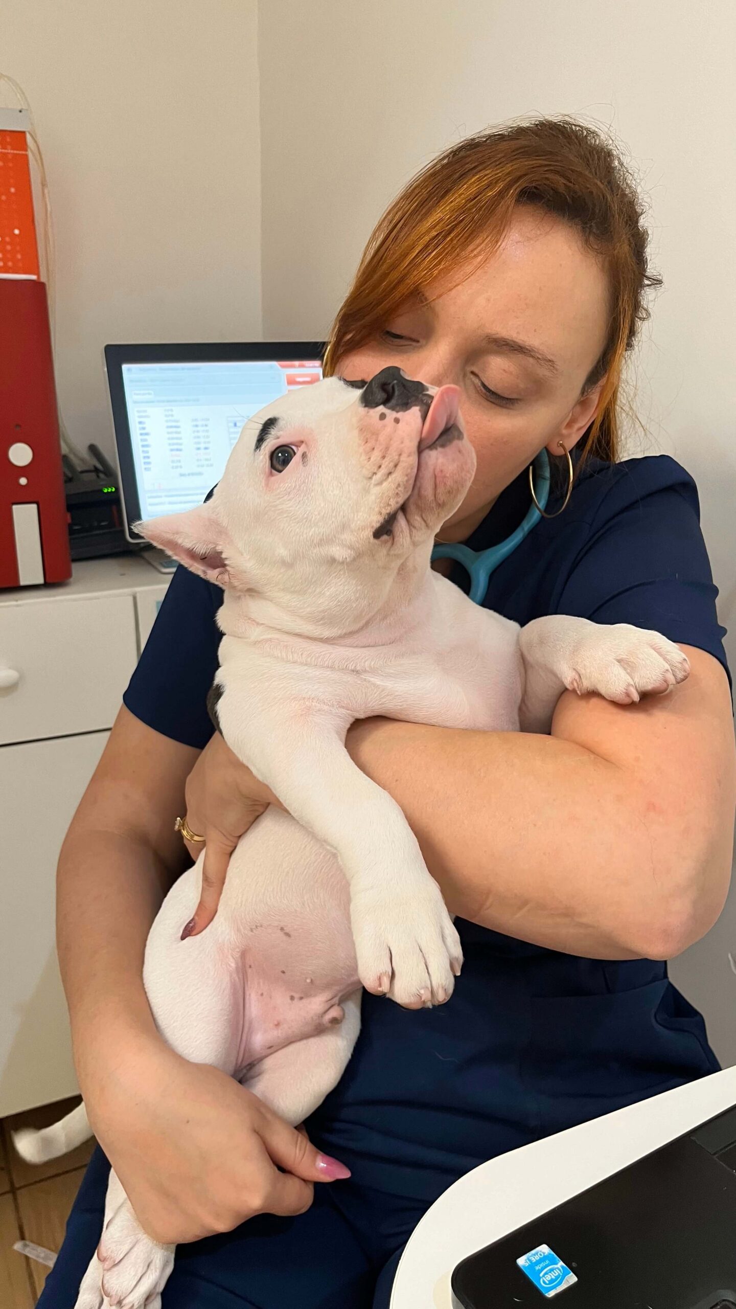 leticia-coltro-medica-veterinaria-domicilio (12)
