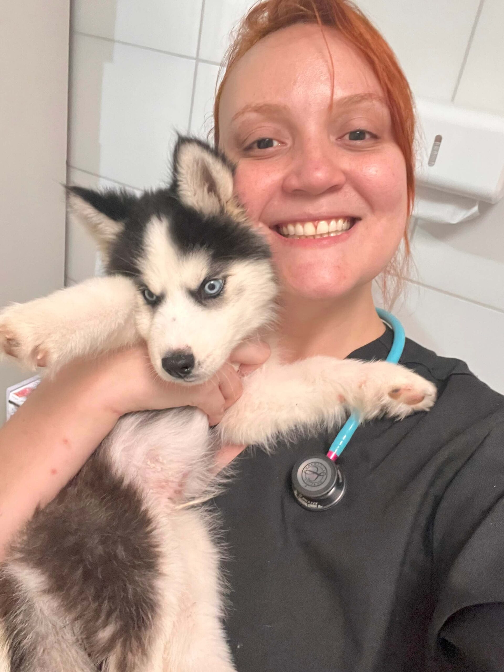 leticia-coltro-medica-veterinaria-domicilio (19)