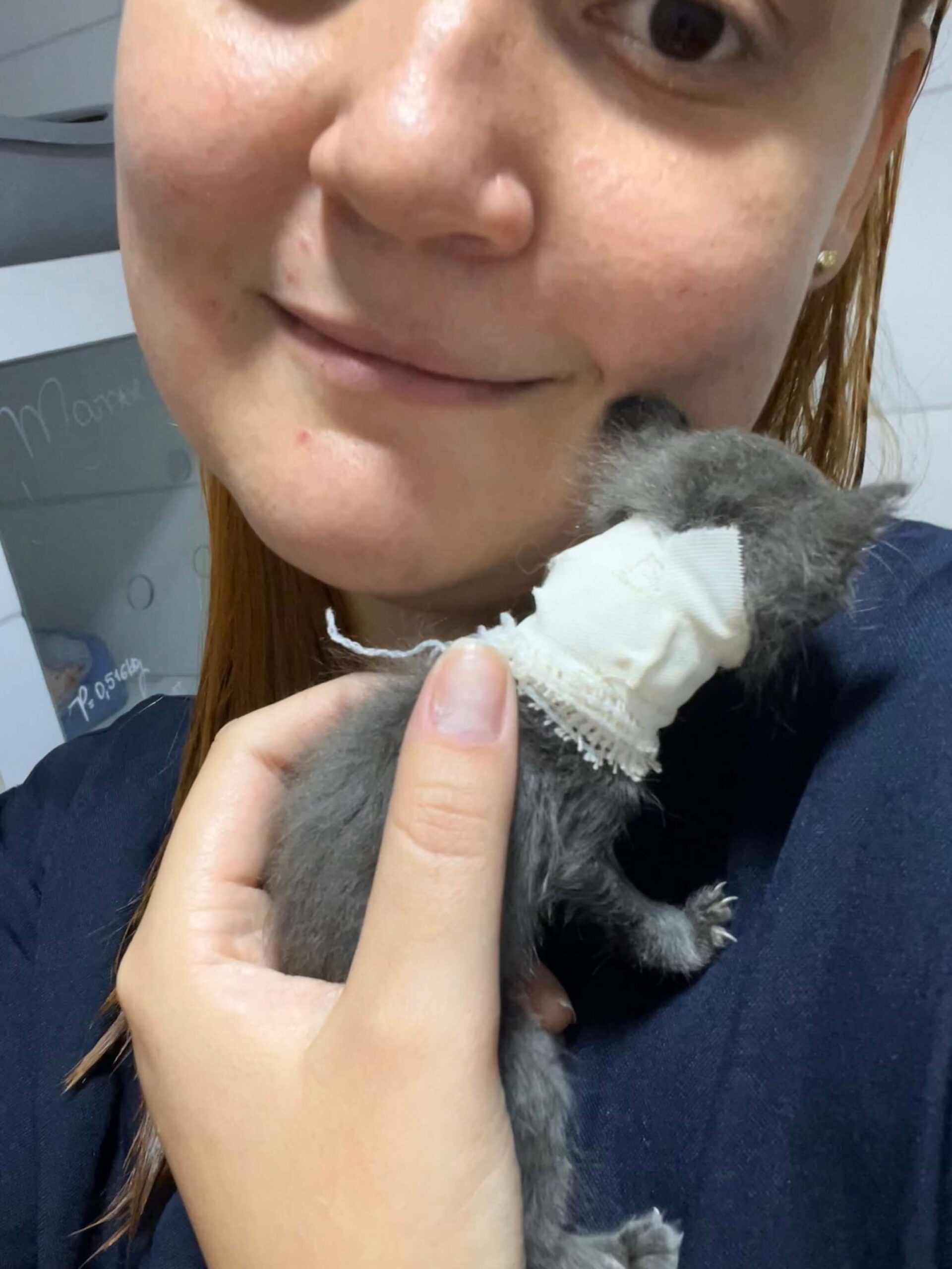 leticia-coltro-medica-veterinaria-domicilio (6)